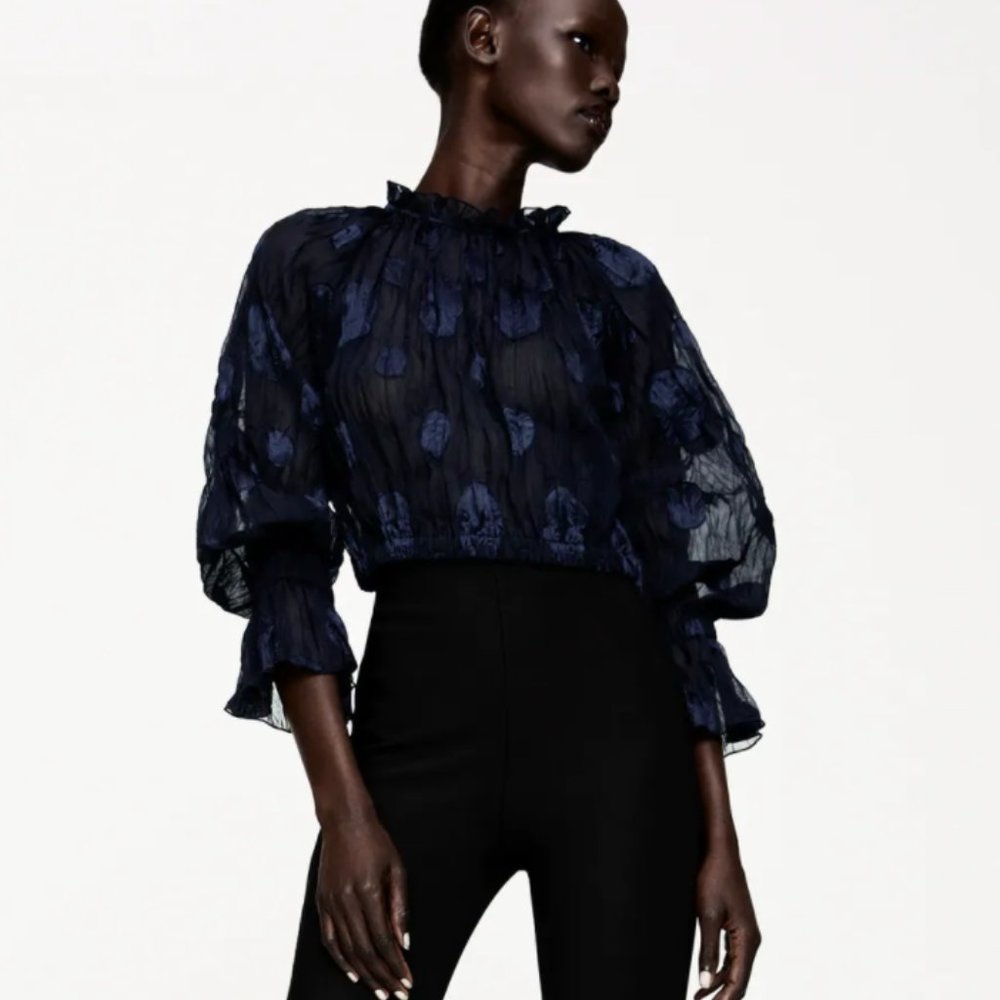 NWT Zara Semi Sheer Blouse